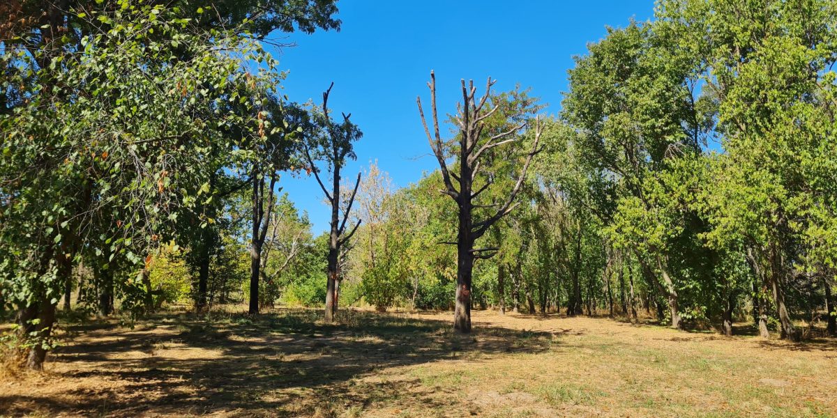 02-01-05_20250923_124228-scaled.jpg - ReporterUrban