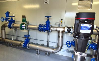 1-e1770755596885.jpg - ReporterUrban