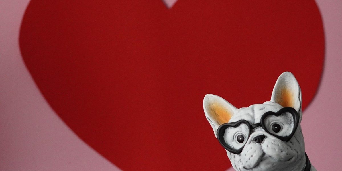 13-19-februarie_pixabay.jpg - ReporterUrban