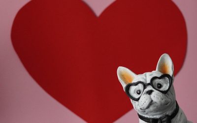 13-19-februarie_pixabay.jpg - ReporterUrban