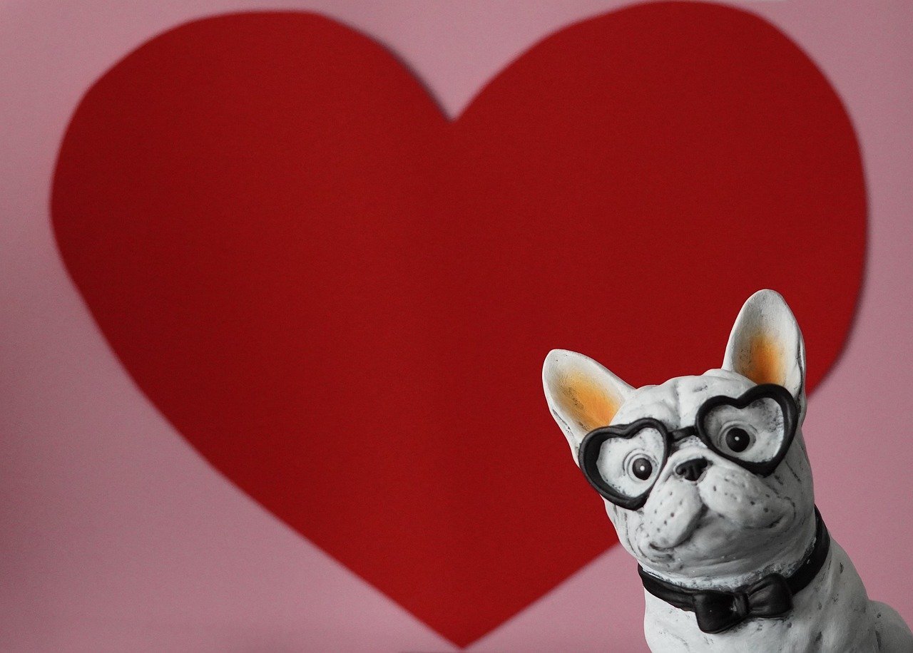 Bucureștiul prinde culoare în ultimele zile ale iernii și se pregătește pentru primăvară Pe măsură ce temperaturile prind rădăcini pozitive, Bucureștiul devine din ce în ce mai activ, chiar dacă încă ne aflăm în pragul sfârșitului de iarnă