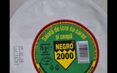 1770309066_index.png - ReporterUrban