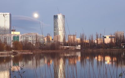 20201229_170227.jpg - ReporterUrban