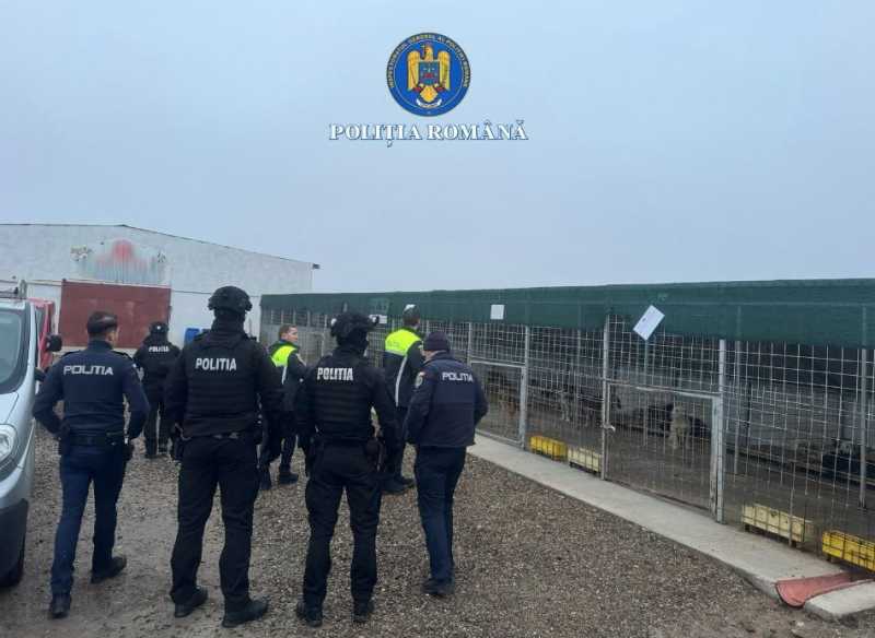 20260214144636_396311.jpg - ReporterUrban