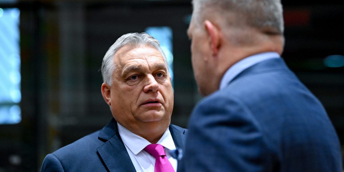 241cae23-1980-4ab2-90d1-f351ad0a1a59-e1702475590659.jpg - ReporterUrban