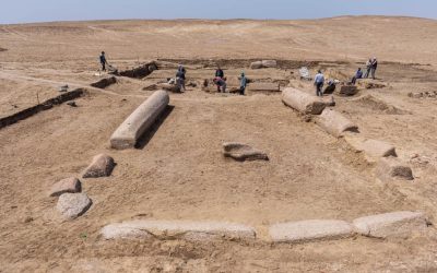 279212255_357560693072150_6526251018744644954_n-e1650962328833.jpg - ReporterUrban