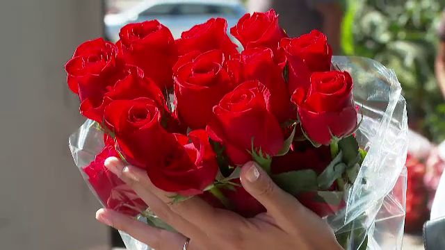 62384270.jpg - ReporterUrban