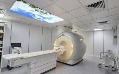 629210026_927168346638657_5080104588965515500_n.jpg - ReporterUrban