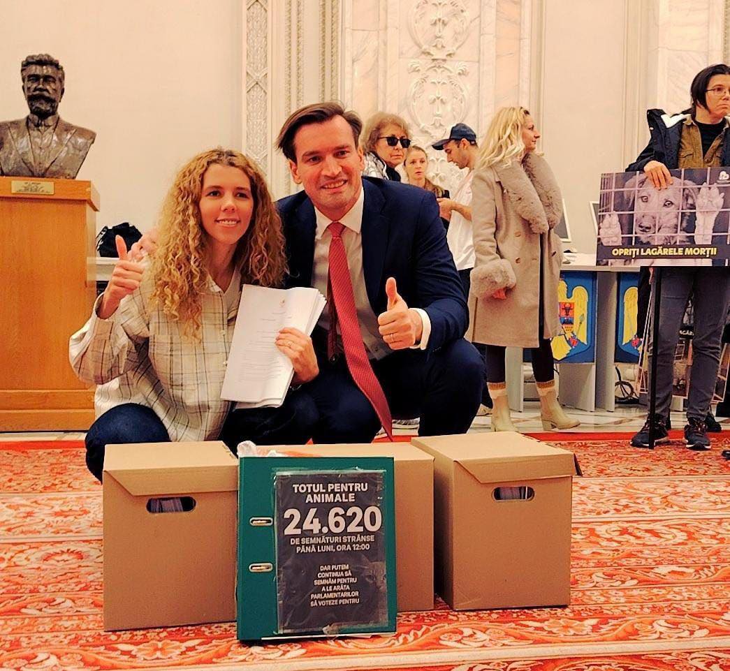 Ministerul Educației a anunțat recent introducerea „Ore cu și pentru animale” ca materie opțională în școli din toată țara