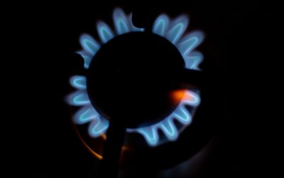 82003c33-ec60-4449-9f50-49bc4fdab088.jpg - ReporterUrban