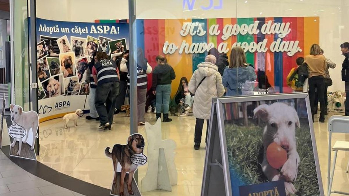 ASPA anunță adupație pentru 10 câini la primul târg din 2026