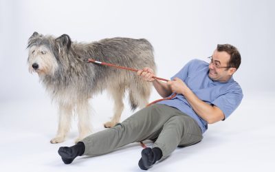 Foto-Leya_George-scaled.jpg - ReporterUrban