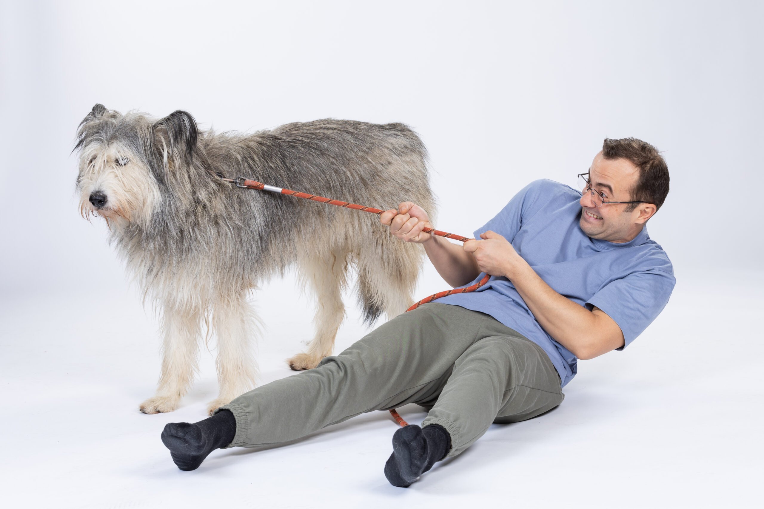 Filmul românesc „Efectul Pufi” a avut ieri avanpremiera de gală la cinematograful Cinemax Veranda, într-un eveniment care a reunit nu doar iubitori de cinema, ci și pasionați de protecția animalelor