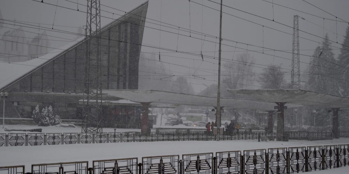 ID239030_INQUAM_Photos_Alex-Nicodim_-scaled.jpg - ReporterUrban