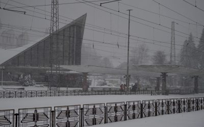 ID239030_INQUAM_Photos_Alex-Nicodim_-scaled.jpg - ReporterUrban