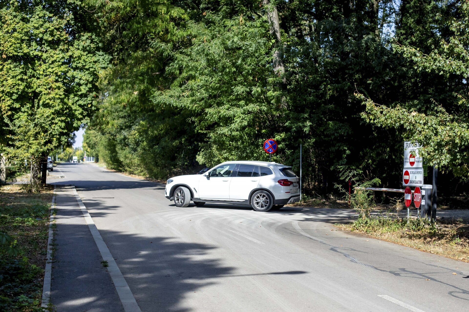 Ministerul Mediului somează Greenfield pentru reîmpădurirea drumului „super-locuitorilor” din Pădurea Băneasa, după nereguli și prejudiciu