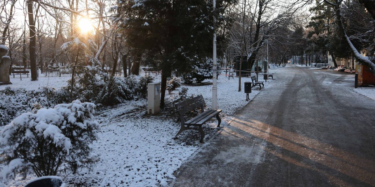 ID330501_INQUAM_Photos_George_Calin-1-e1770545727817.jpg - ReporterUrban