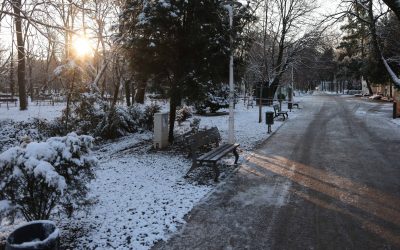 ID330501_INQUAM_Photos_George_Calin-1-e1770545727817.jpg - ReporterUrban