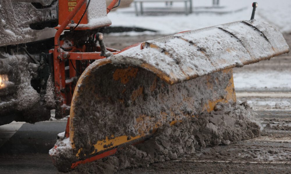 ID330600_INQUAM_Photos_George_Calin-1000x667.jpg - ReporterUrban