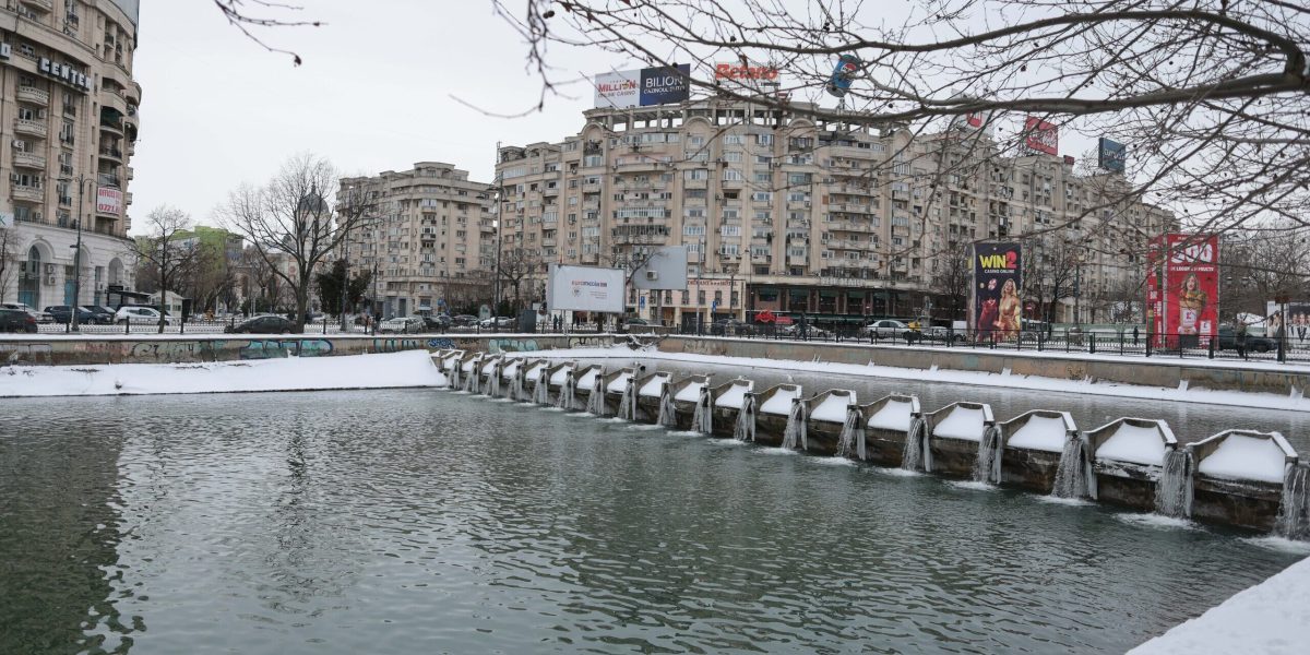 ID332283_INQUAM_Photos_George_Calin-1-e1770468225307.jpg - ReporterUrban