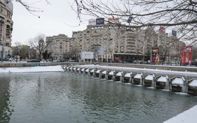 ID332283_INQUAM_Photos_George_Calin-1-e1770468225307.jpg - ReporterUrban