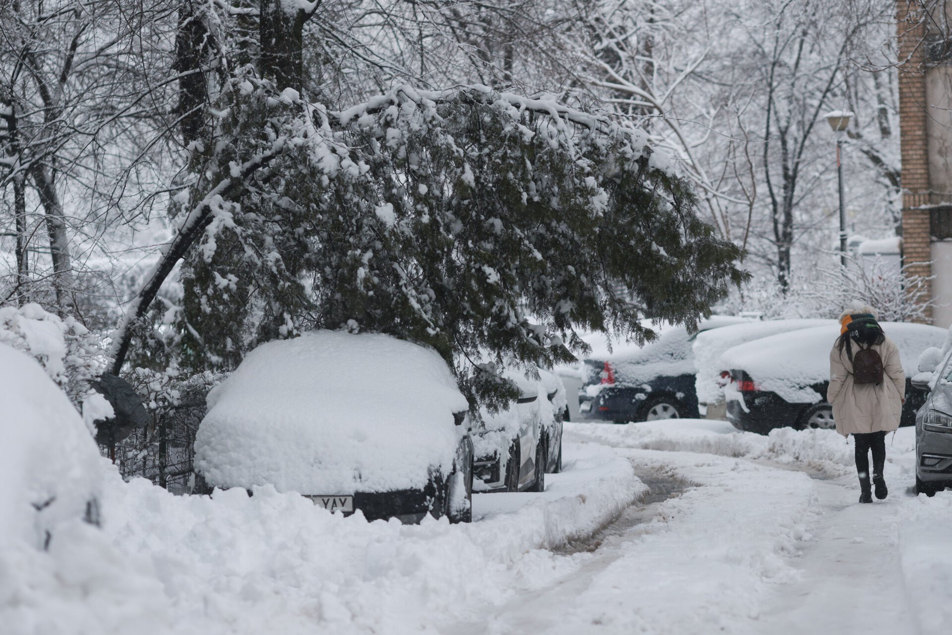 Revenirea brutală a iernii a pus din nou Bucureștiul în fața unor provocări majore, ducând la pagube semnificative în întregul oraș