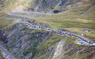 ID75577_INQUAM_Photos_Ovidiu-Dumitru_Matiu-scaled.jpg - ReporterUrban