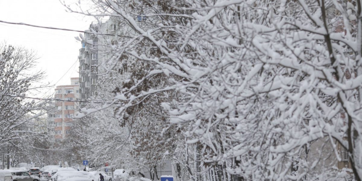 MSZoYXNoPTBjOGFhOWNhNTRhYTQyZmE1YWMxZjlhMmVhMWJlZGNm.thumb_.jpg - ReporterUrban