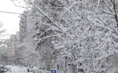 MSZoYXNoPTBjOGFhOWNhNTRhYTQyZmE1YWMxZjlhMmVhMWJlZGNm.thumb_.jpg - ReporterUrban