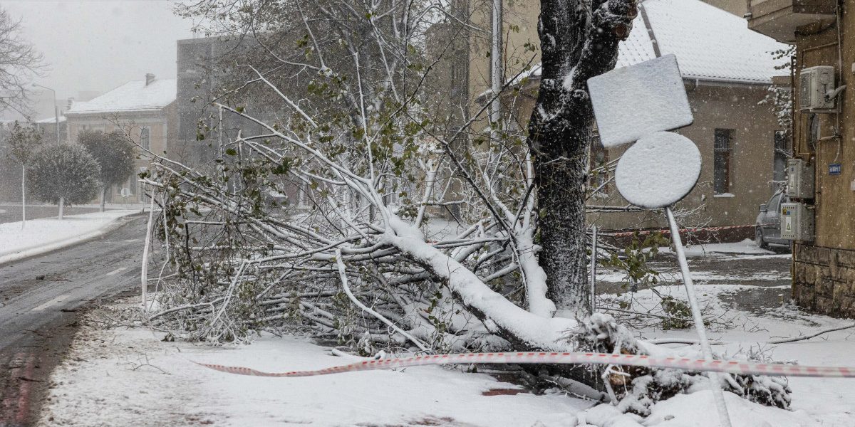 NjMwJnpjPTEmaGFzaD1hNjI2ZDU0Y2I4ZjJlOGIxODlhMzU5ZDQ0ZWFjOGZlZg.thumb_.jpg - ReporterUrban