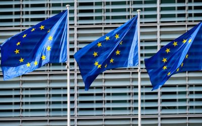 PWM0MTMyOTJlZDFhNTQ1MmM2OWRhM2VhMDY3MGQwNDZk.thumb_.jpg - ReporterUrban