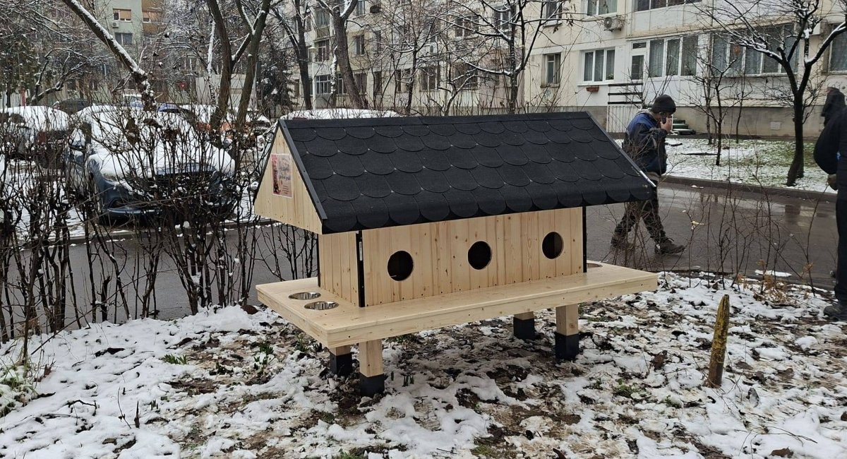 Patru noi căsuțe pentru pisici, instalate în Sector 6