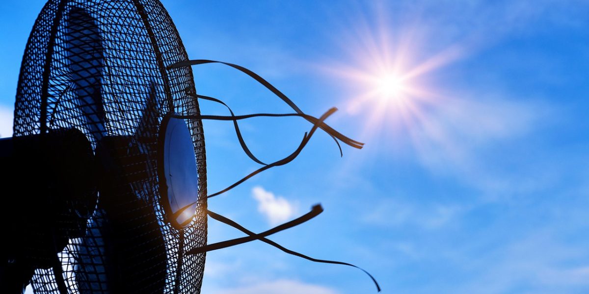 Retea-de-Adaposturi-Climatice-in-Bucuresti-pixabay.jpg - ReporterUrban