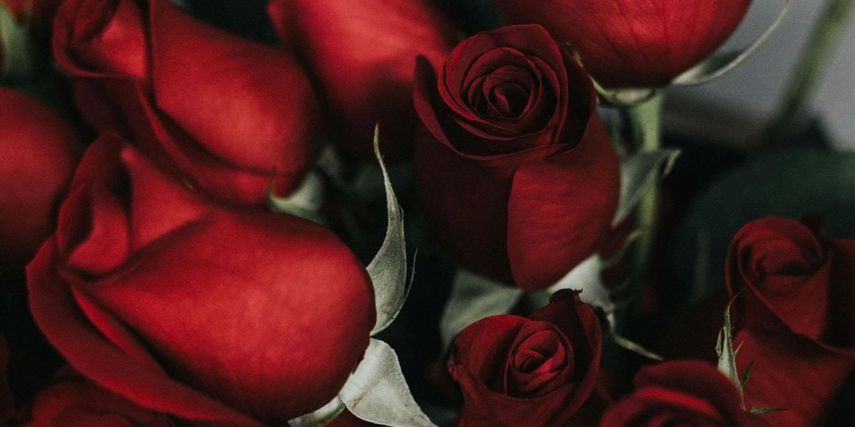 North Carolinians have lost millions in romance scams. What FBI, BBB warn ahead of Valentines Day :: WRAL.com