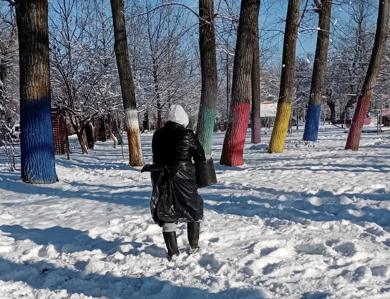 Administrația Domeniului Public Alexandria a început fertilizarea zonelor verzi din oraș cu îngrășământul Florovit, o decizie care trezește controverse și ridică semne de întrebare legate de momentul și metodologia aleasă