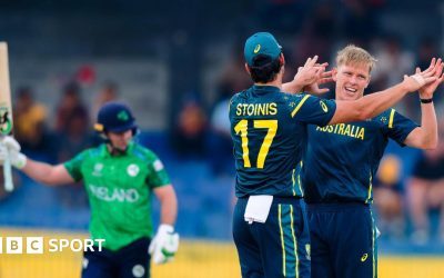 Nathan Ellis celebrates with Stoinis