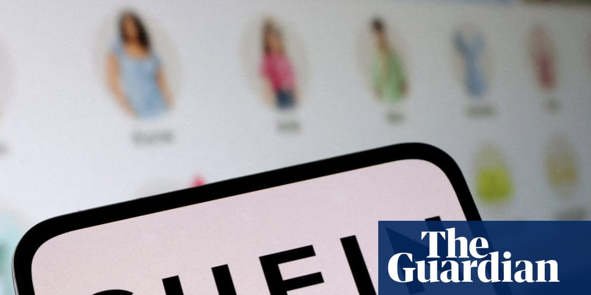EU to investigate Shein over sale of childlike sex dolls and weapons | Shein