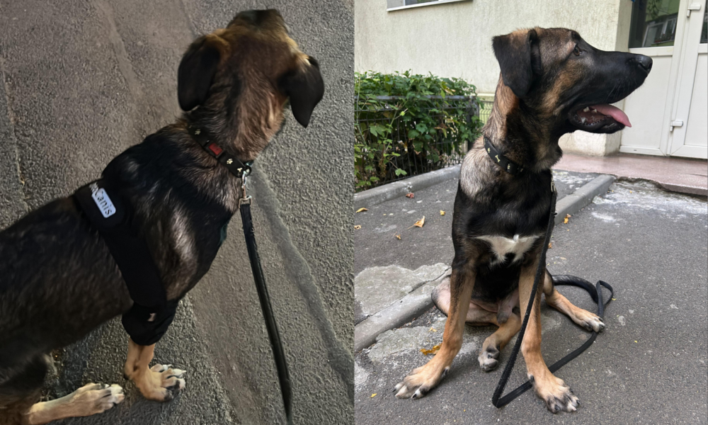 Untitled-design-37-1000x666.png - ReporterUrban