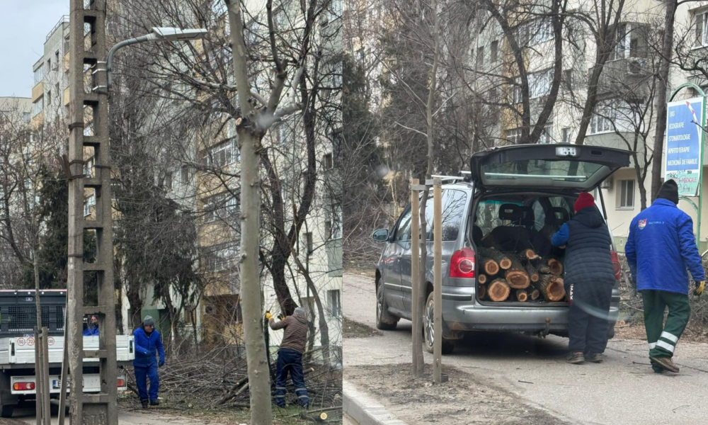 Untitled-design-38-1000x666.png - ReporterUrban