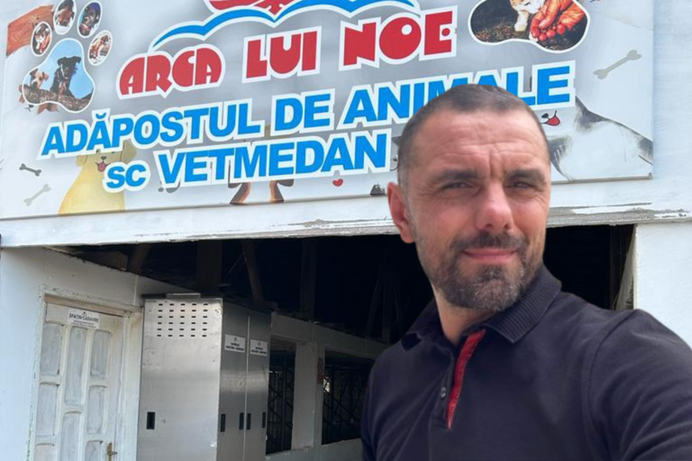 Imagini șocante și controverse privind gestionarea câinilor fără stăpân în România Un scandal dur a izbucnit în ultimul timp în țară, după ce în spațiul public au fost publicate imagini tulburătoare dintr-un adăpost privat pentru câini din județul Vrancea