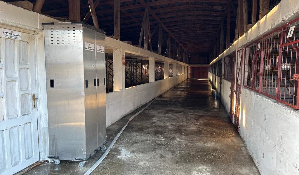 WhatsApp-Image-2023-10-11-at-19.46.47-15-1.jpeg - ReporterUrban