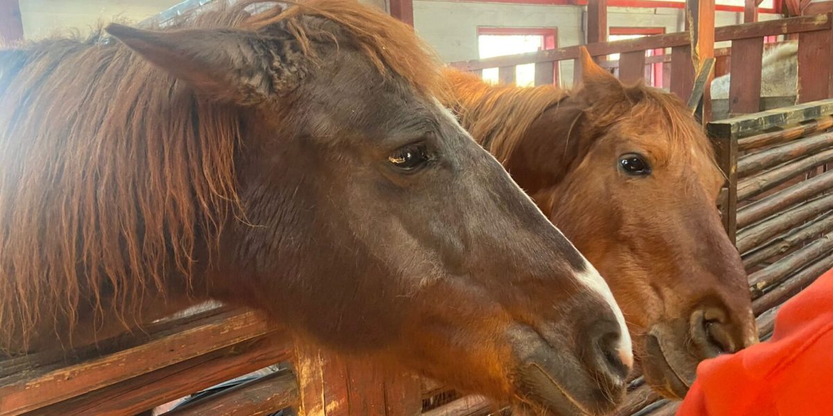 WhatsApp-Image-2024-03-29-at-1.21.34-PM-1536x1152-1.jpeg - ReporterUrban