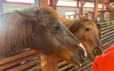 WhatsApp-Image-2024-03-29-at-1.21.34-PM-1536x1152-1.jpeg - ReporterUrban