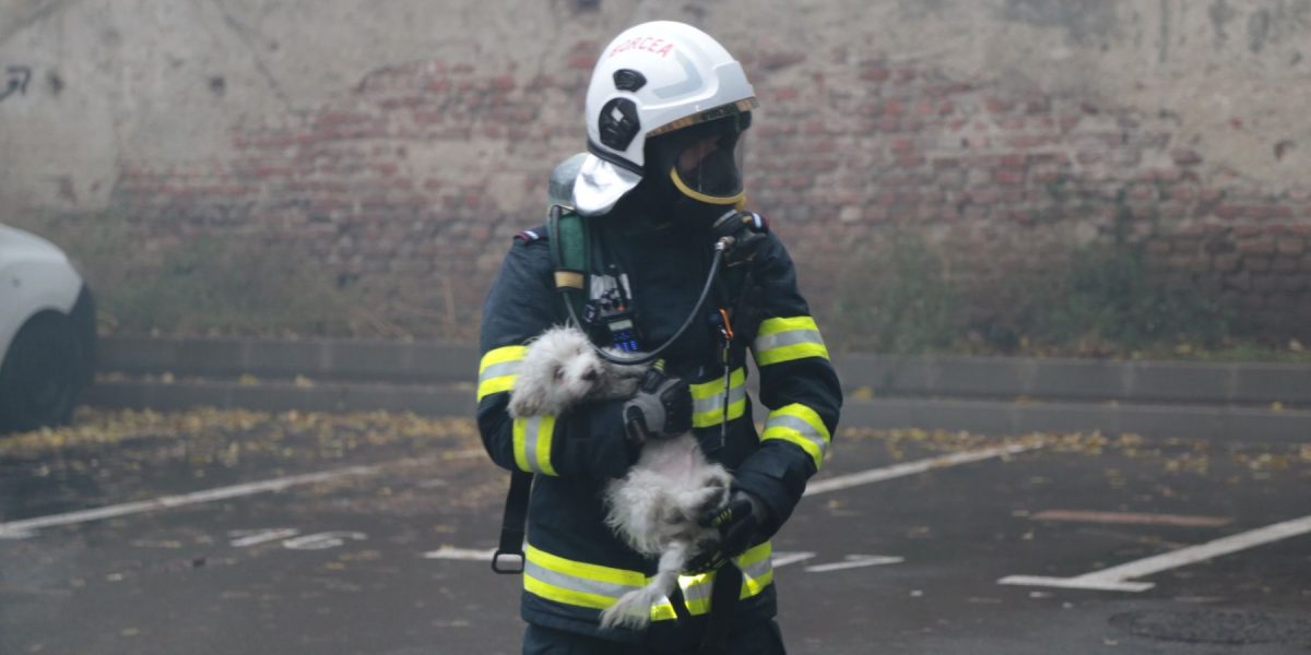 WhatsApp-Image-2024-12-07-at-14.50.32.jpeg - ReporterUrban