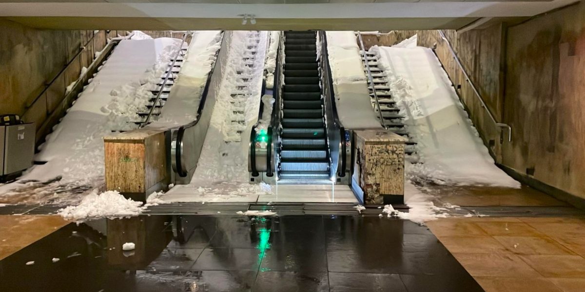 WhatsApp-Image-2026-02-18-at-06.48.54.jpeg - ReporterUrban