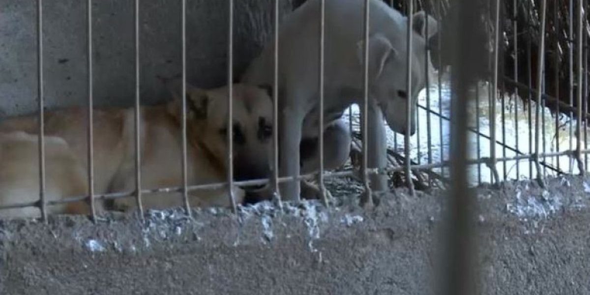 YTBiZDlmNjFjOGNkZjE2ZTU4ZTEzNDQxNWM4NGE3ZGE.thumb_.jpg - ReporterUrban