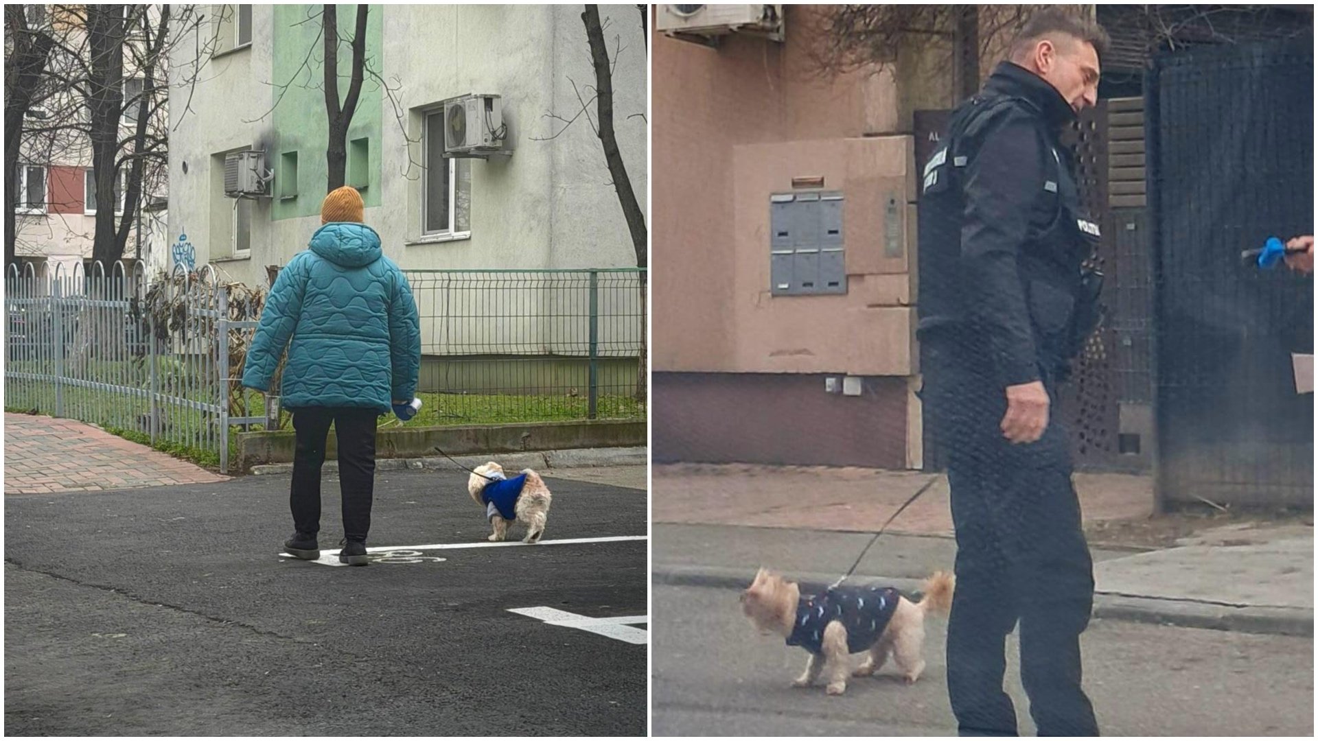 Primăria Sectorului 3 aprobă sancțiuni pentru proprietarii de animale care nu respectă regulile de curățenie pe străzi Situația curățeniei în Sectorul 3 al Capitalei rămâne una delicată, iar autoritățile locale au decis să intensifice controalele și sancțiunile pentru proprietarii de câini care nu respectă obligațiile legale privind gestionarea deșeurilor și comportamentul animalelor pe domeniul public