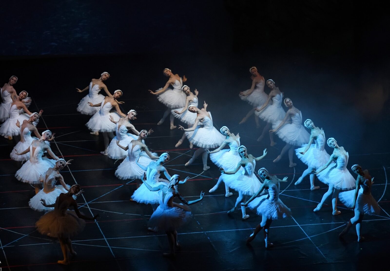 Spectacol inedit „Lacul Lebedelor” în Parcul Herăstrău