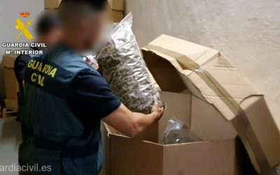 canabissp.jpg - ReporterUrban