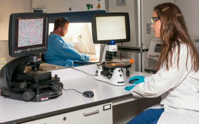 cancer-control-doctor-analiza-spital-doctori-medicina.jpg - ReporterUrban